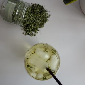 دمنوش مورینگا